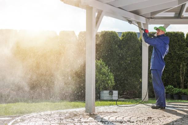 Best Driveway Cleaning and Restoration in Fayette, LA